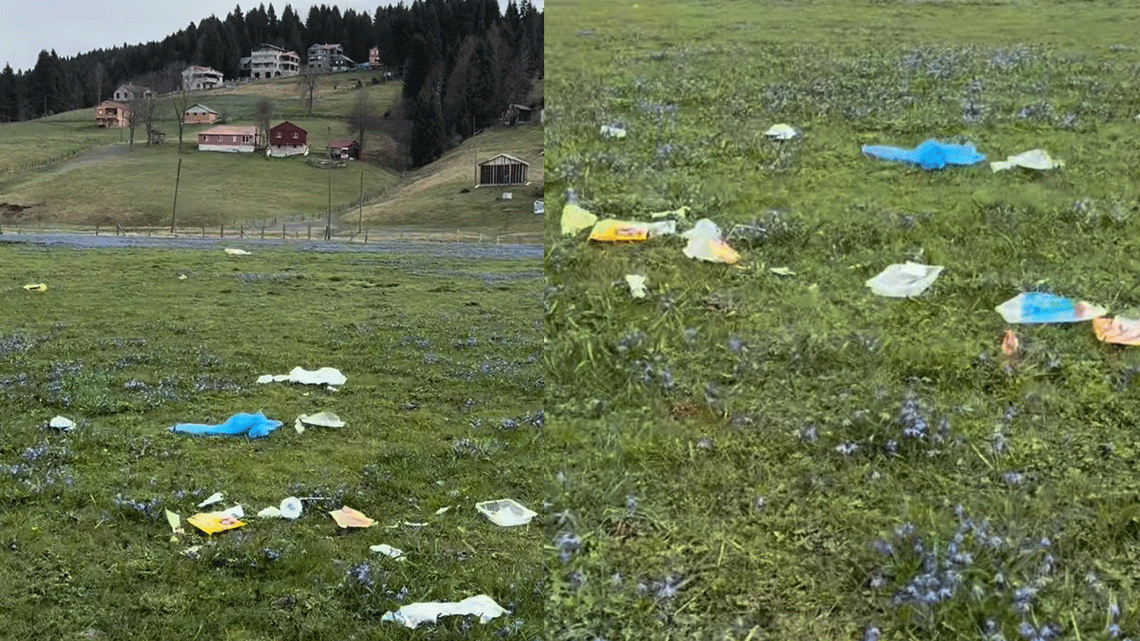 trabzonda-tehlike-canlari-kadiralakta-karar-var-koruma-yok