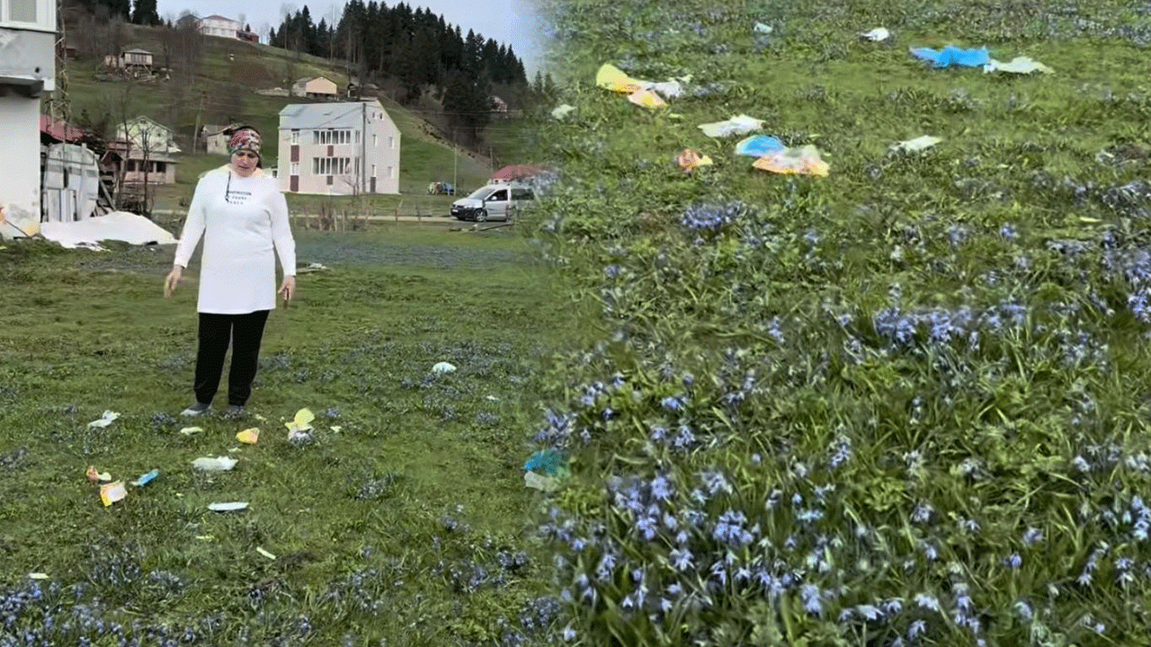 trabzonda-tehlike-canlari-kadiralakta-karar-var-koruma-yok