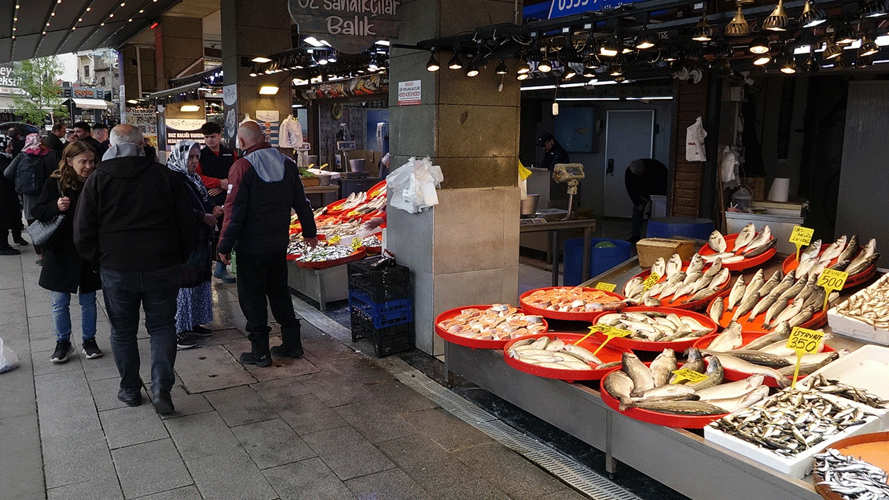 av-yasaginda-kultur-baliklarina-ragbet