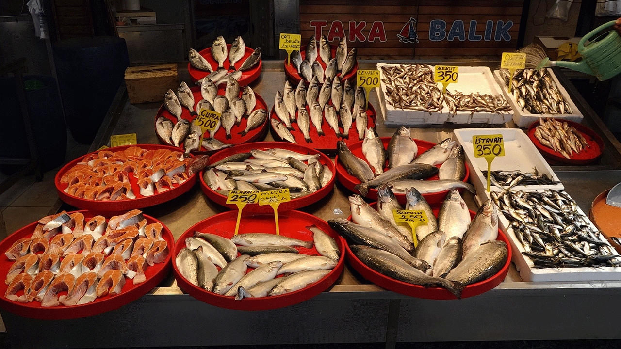 av-yasaginda-kultur-baliklarina-ragbet