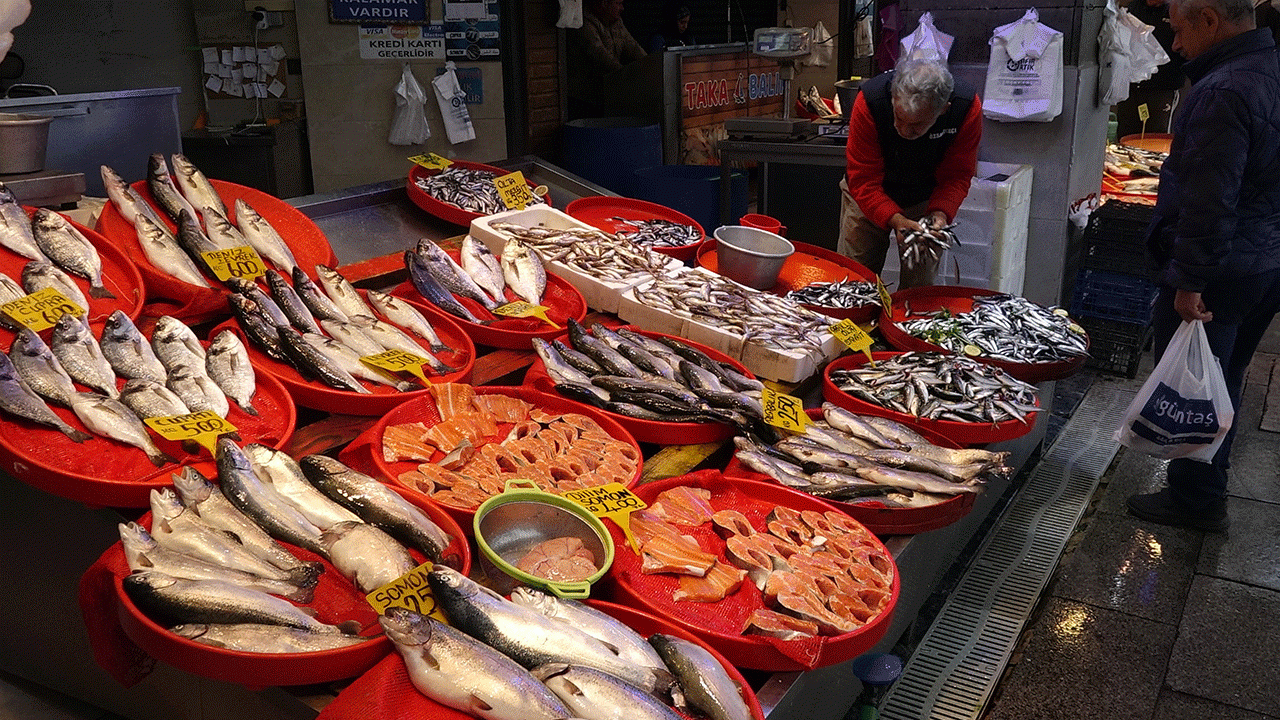 av-yasaginda-kultur-baliklarina-ragbet