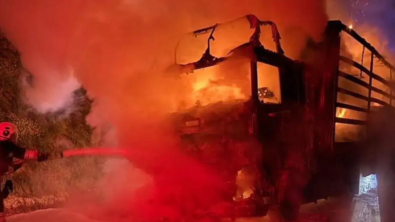 trazbon-yosudna-tiry-n-adi