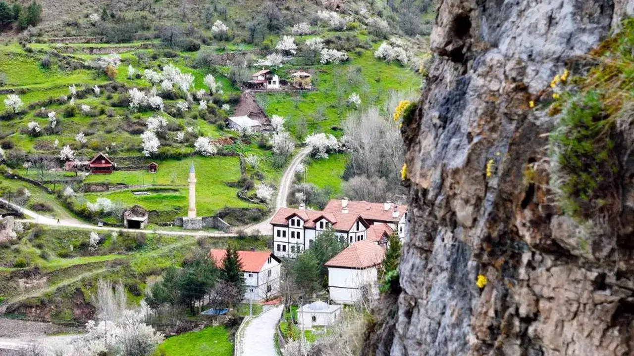 gumushanede-kayalarin-arasindan-cikan-dolama-cicegi-ilgi-goruyor