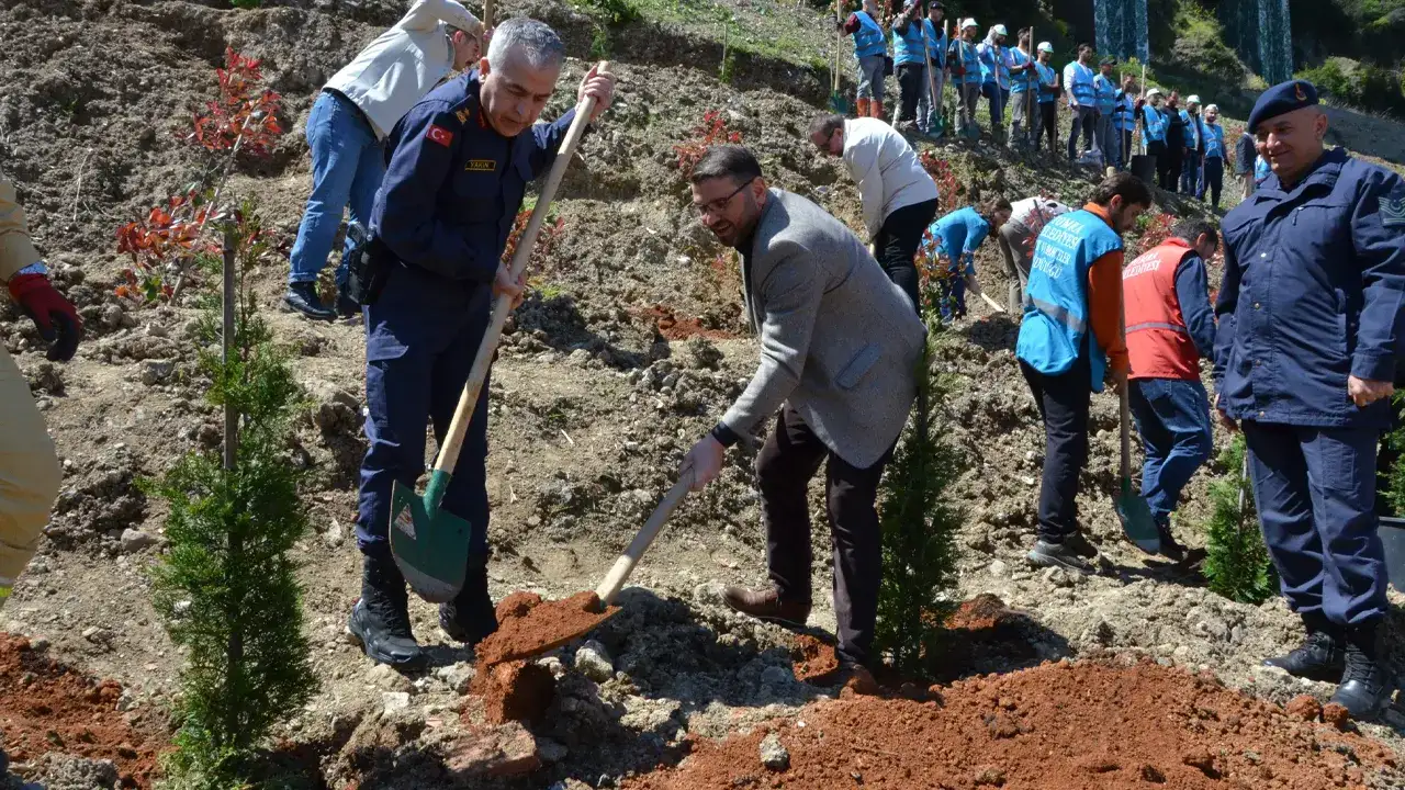 trabzon-barosundan-doga-ve-hukuk-ormani-projesi