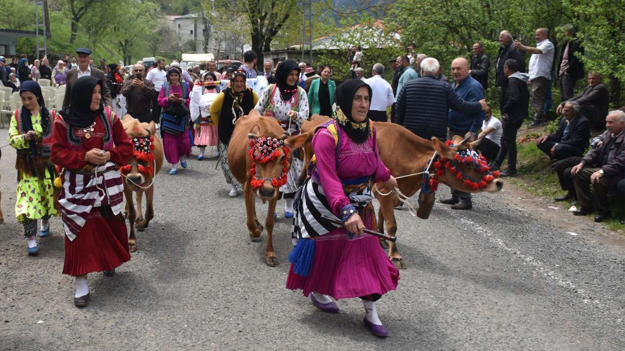 macka-yazilitasta-asirlik-yayla-gocu-kulturu-yeniden-canlandi