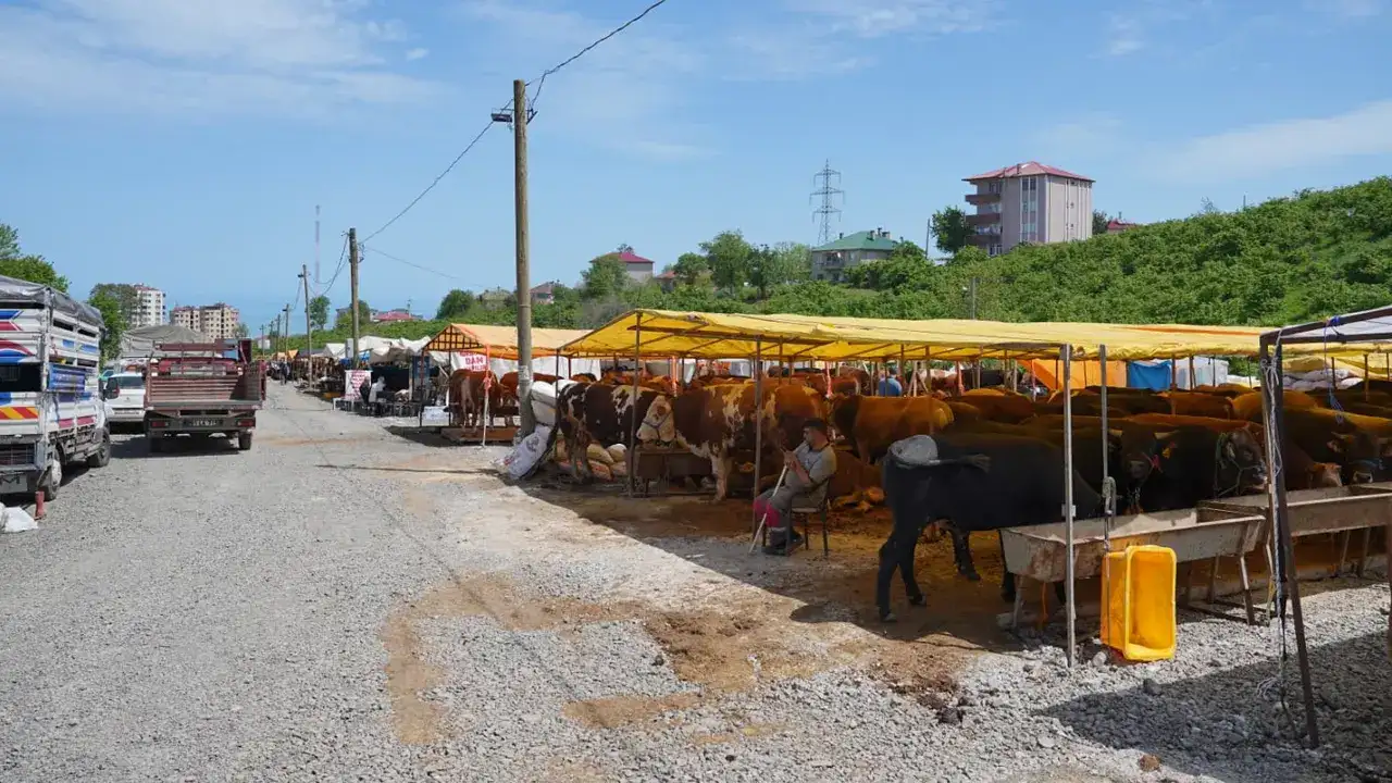 ortahisarda-kurban-hazirliklari-tamamlandi