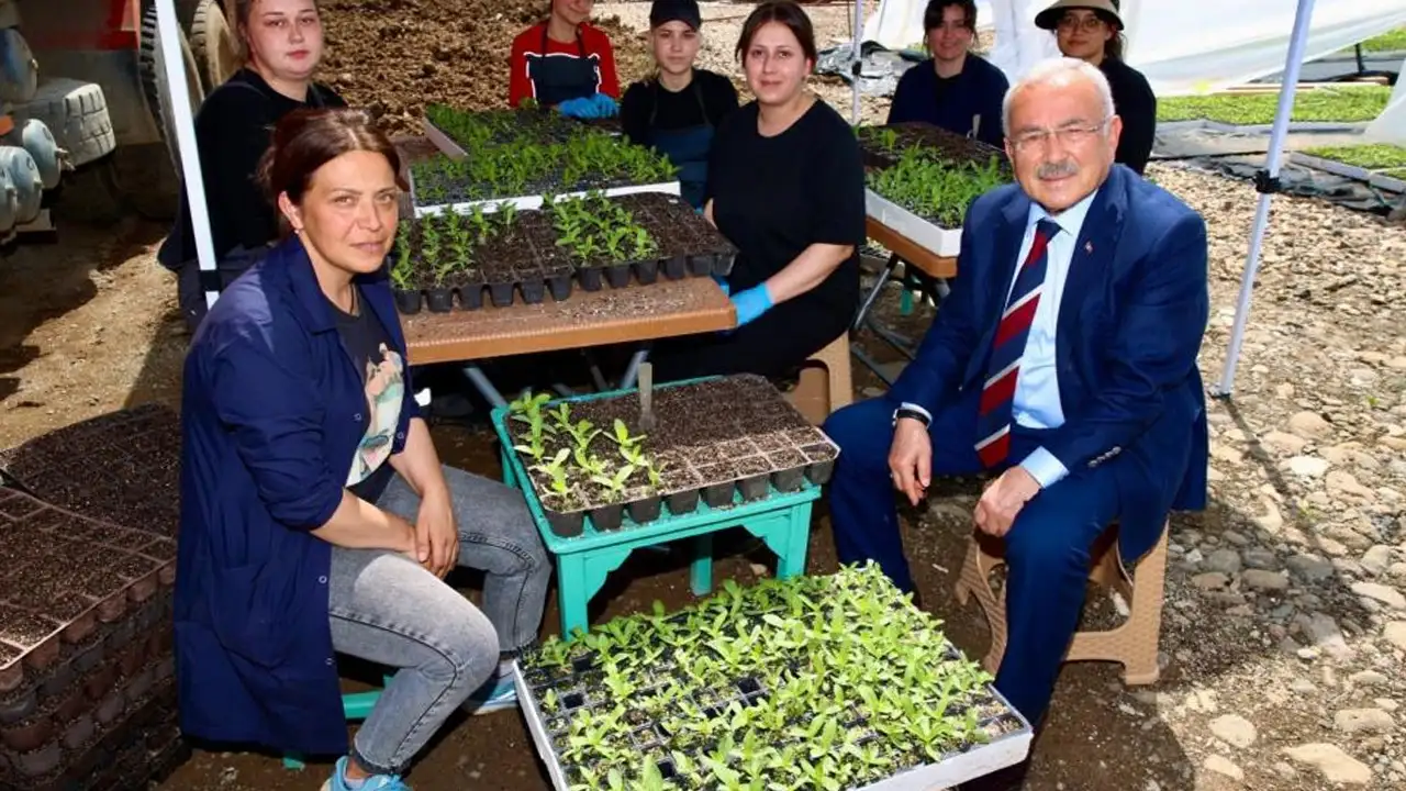 ordu-buyuksehir-kendi-urettigi-ciceklerle-kenti-renklendiriyor