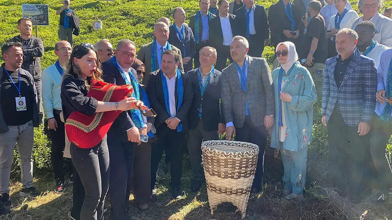 cay-hasadsi-baslsi