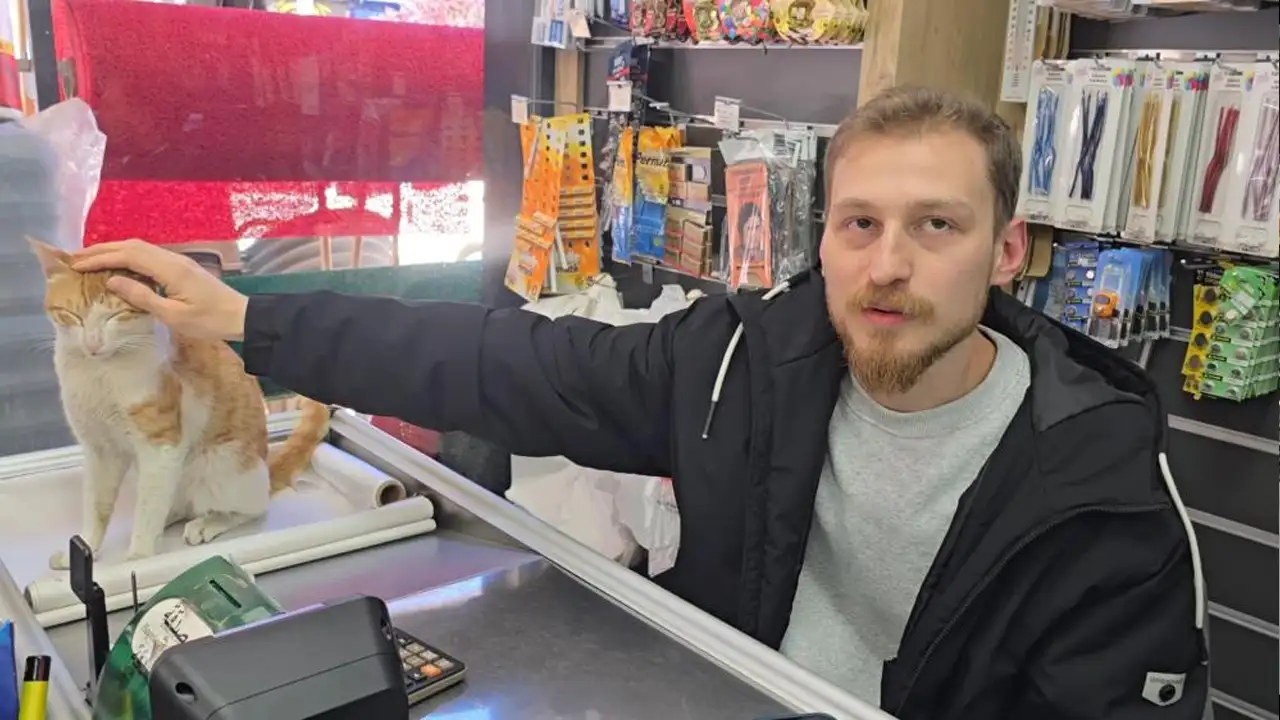 rizede-gorenleri-gulumseten-dostluk-kedi-her-gun-sahibine-sarilmaya-geliyor