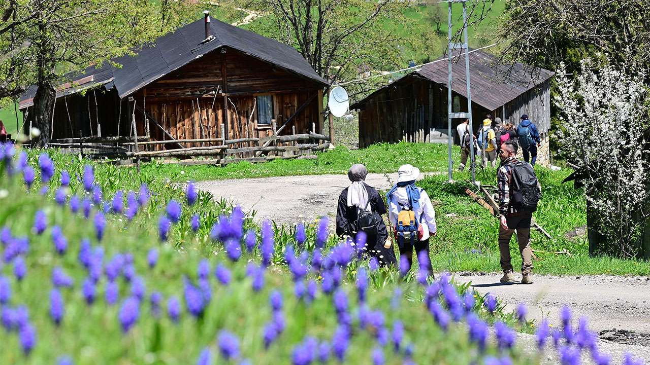 sehrin-gurultusunden-yaylalara-kactilar