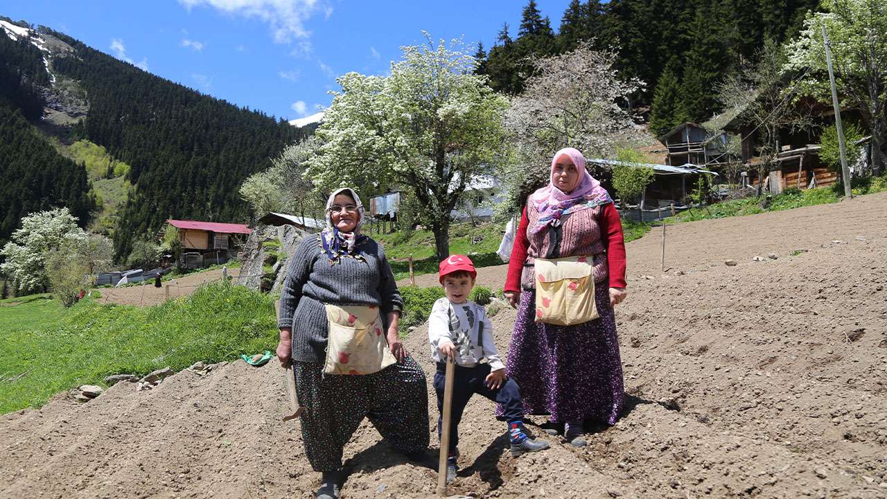 artvinde-1400-rakimda-imece-usulu-tarim-yapiliyor