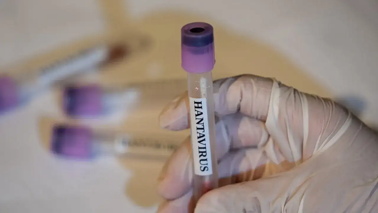 hantavirus-asiids
