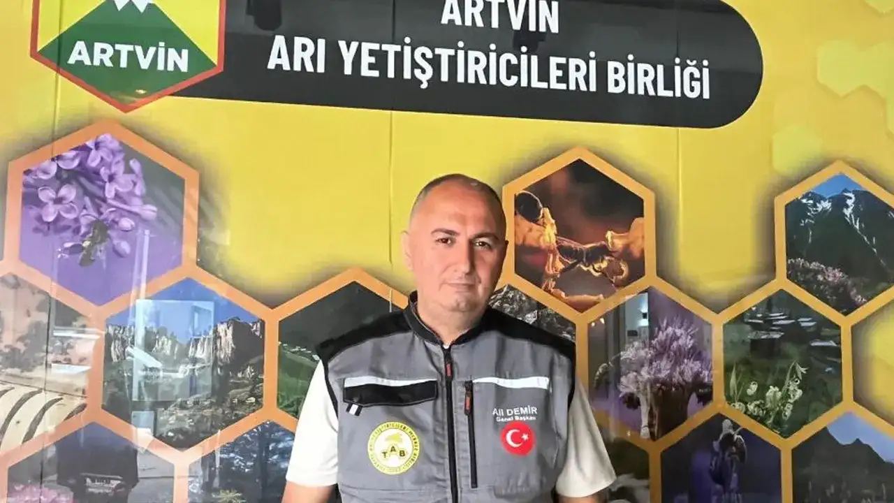 ari-bal