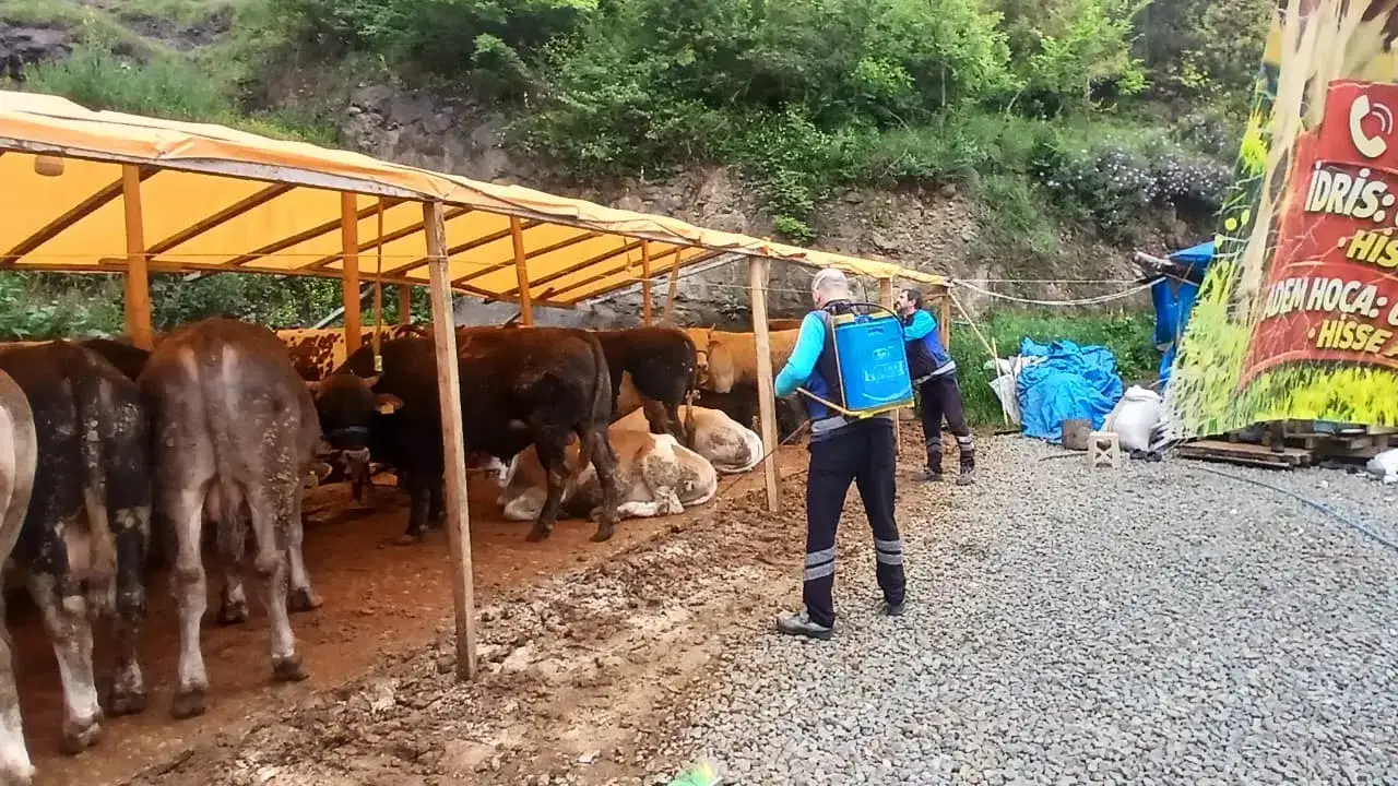 byuksehir-belediyesifa