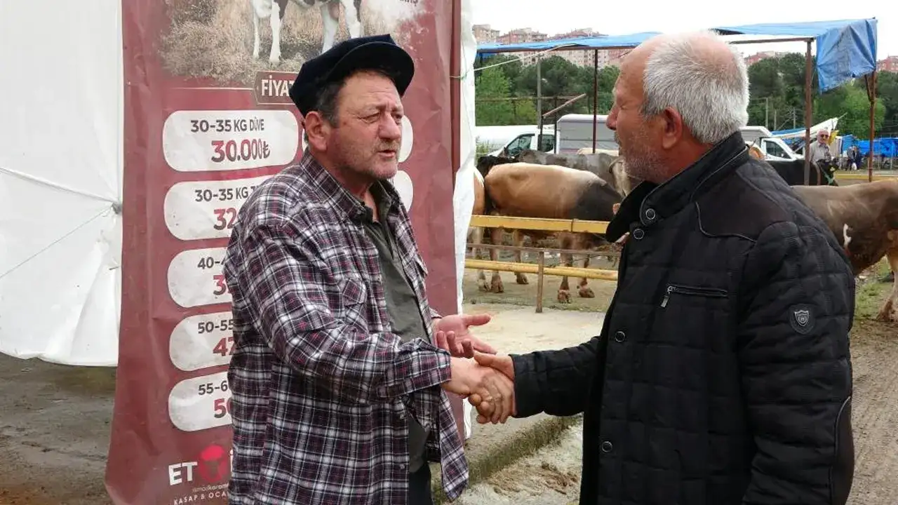 ordulu-besiciler-gurbetcileri-bekliyor-kurbanlik-satisinda-son-umut