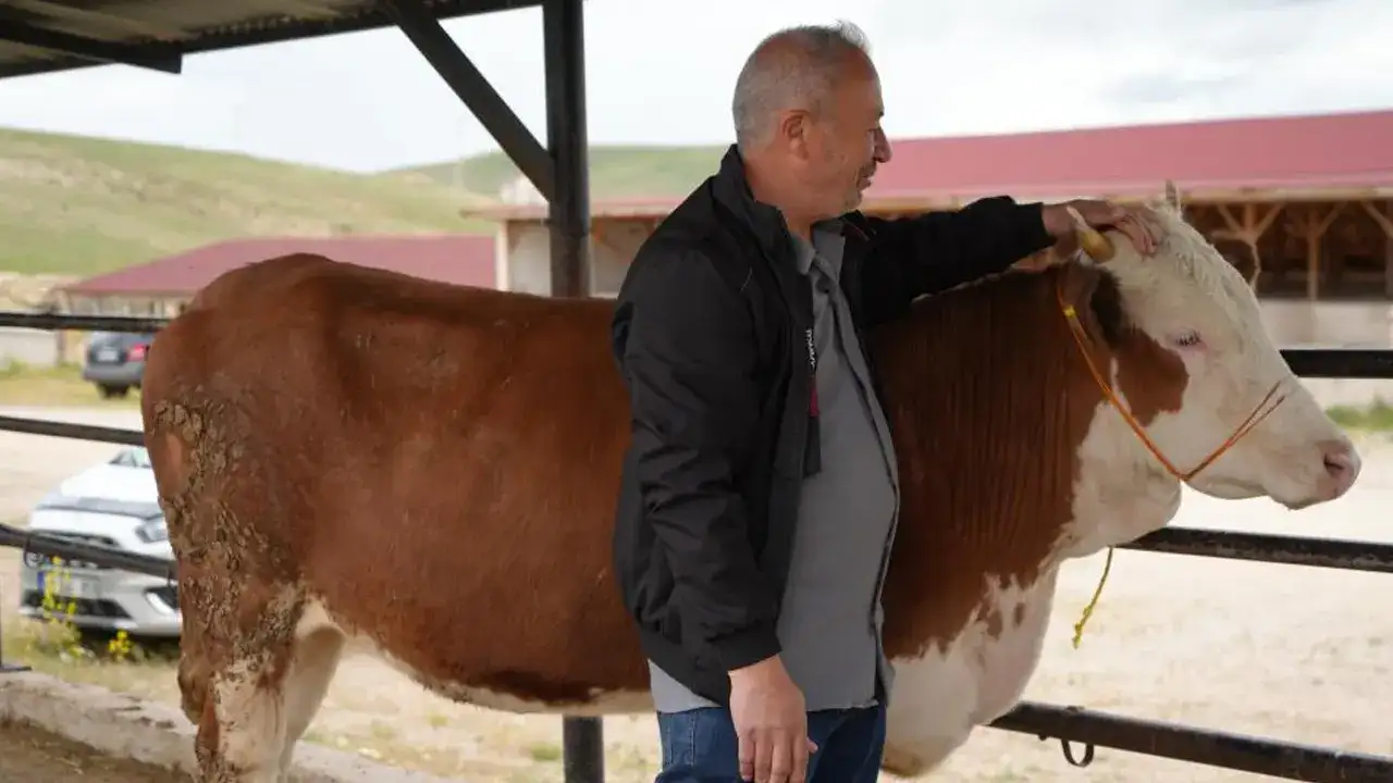 bayburt-canli-hayvan-pazarinda-bayram-hareketliligi