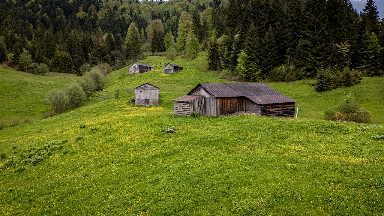 trabzon-yaylalarinda-kartpostallik-goruntuler-olustu