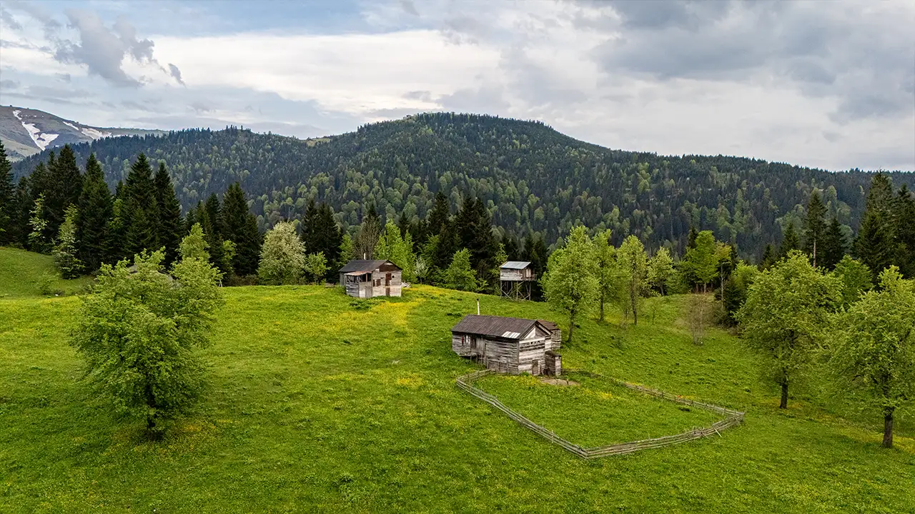 trabzon-yaylalarinda-kartpostallik-goruntuler-olustu