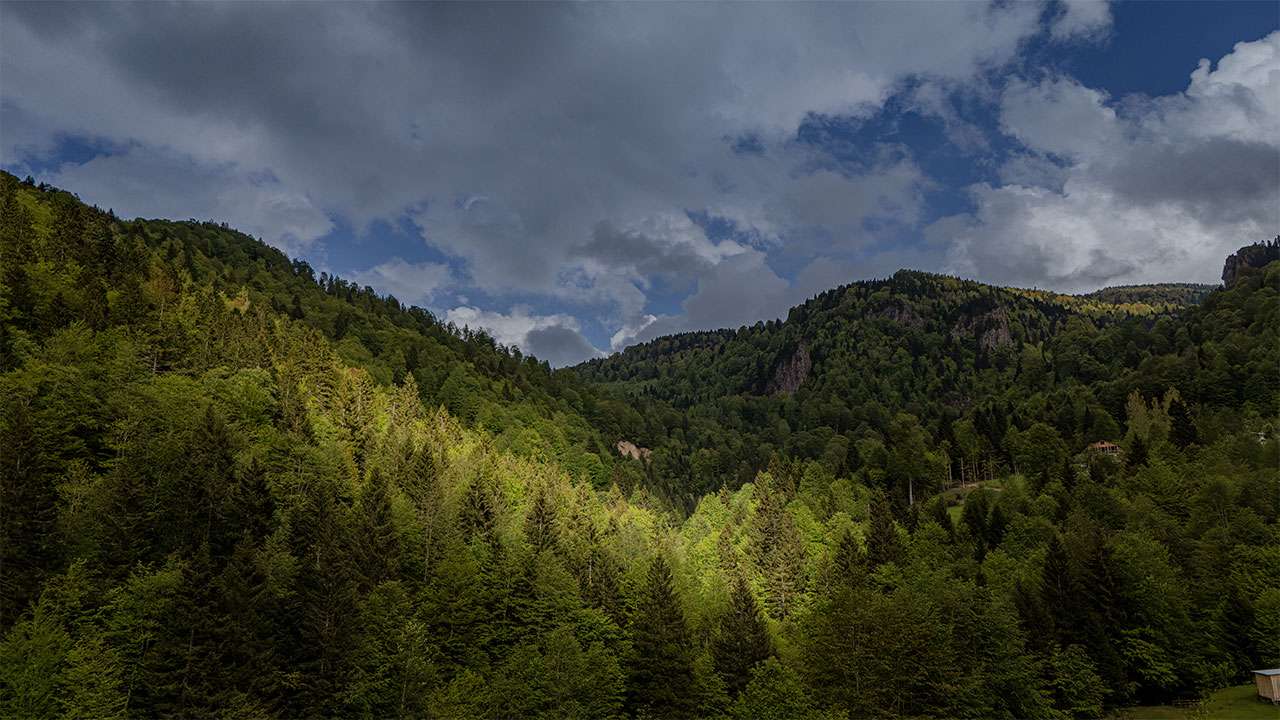tonyanin-yesil-dogasi-havadan-goruntulendi
