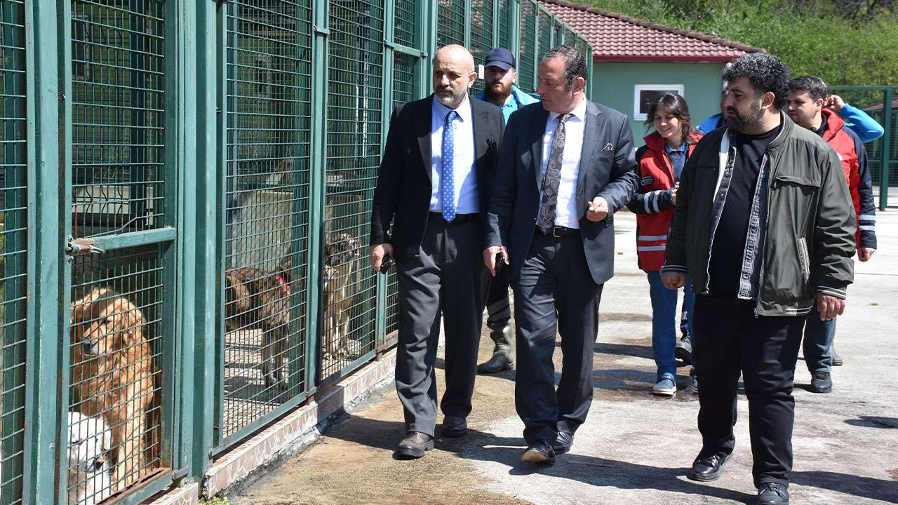 trabzonda-750-kopek-kapasiteli-merkez-sahipsiz-hayvanlara-yuva-oldu