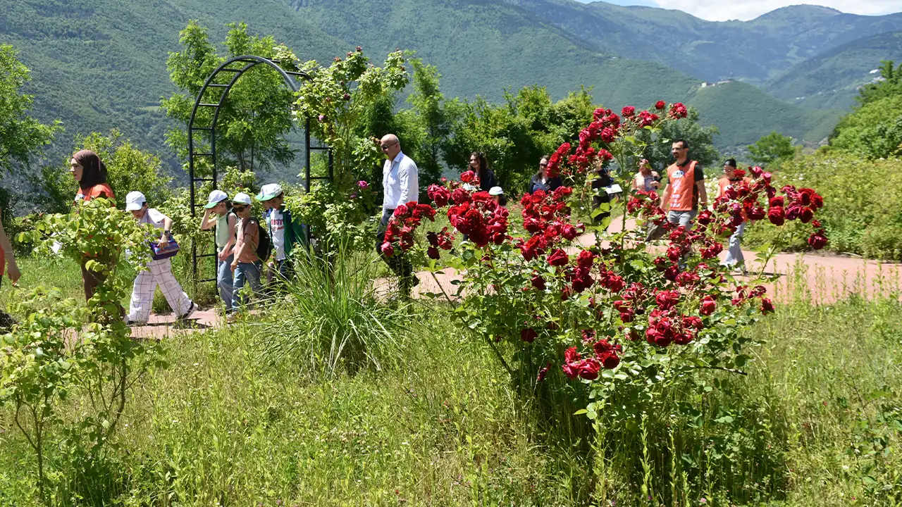 artvinde-dunya-cevre-gunu-fidan-dikimiyle-kutlandi