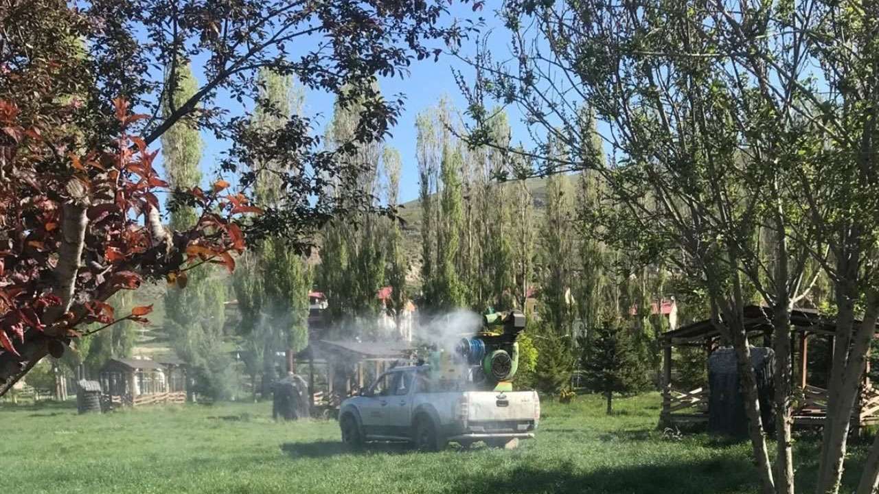 bayburtta-kene-riskine-karsi-yesil-alanlar-ilaclandi
