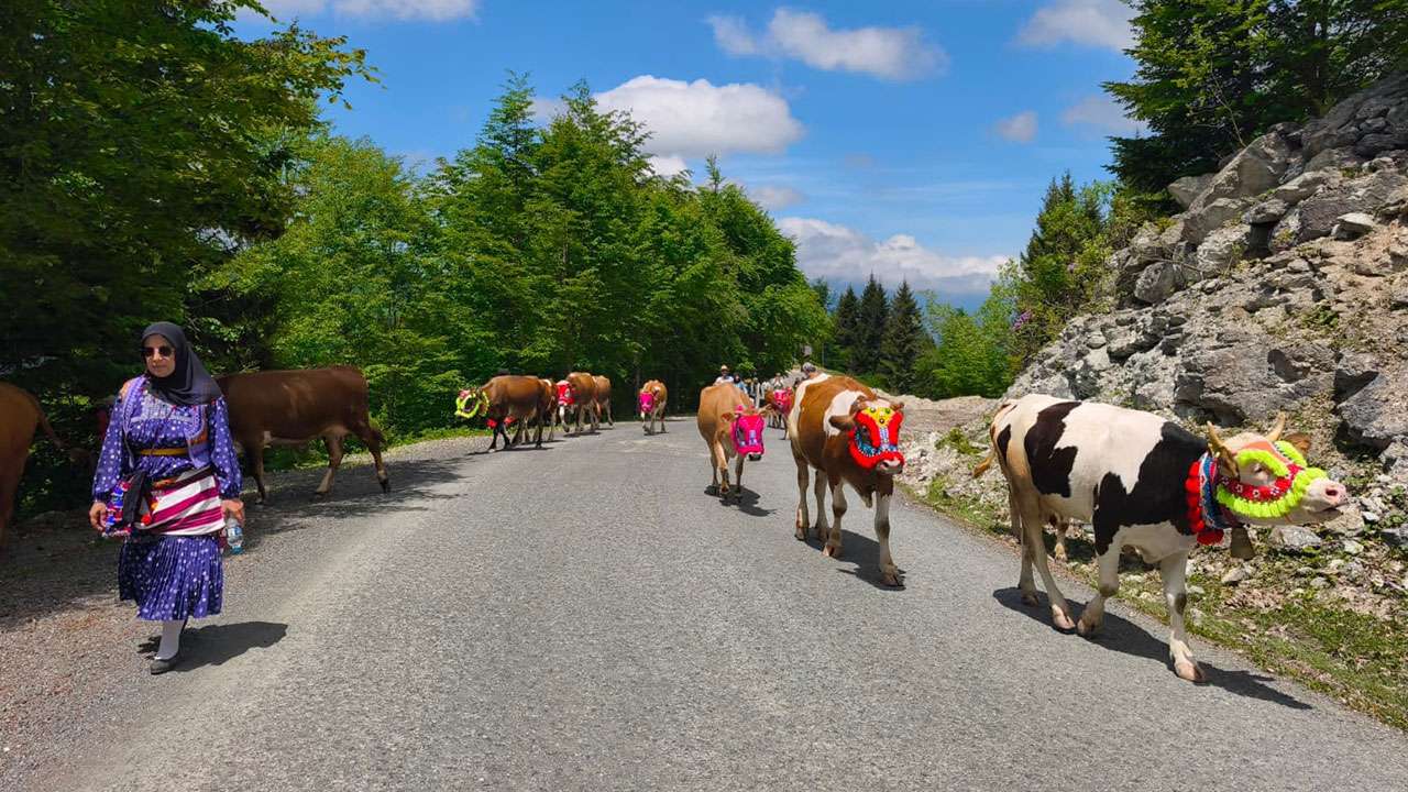 trabzonda-asirlik-yayla-gocu-gelenegi-basladi