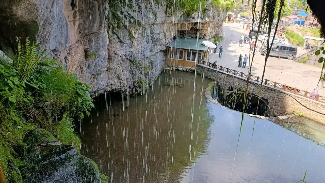 trabzonlu-dogaseverler-orman-banyosunda-bulustu