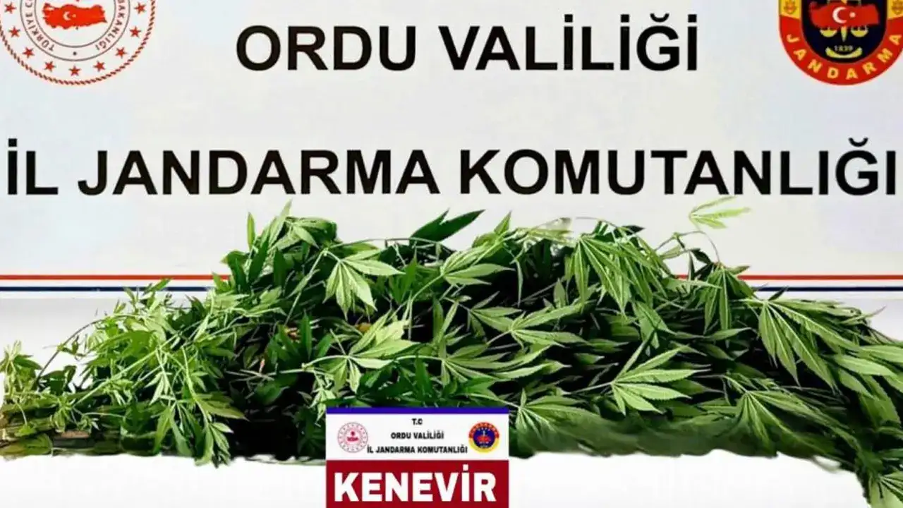 orduda-jandarmadan-suc-operasyonu-21-kisi-tutuklandi