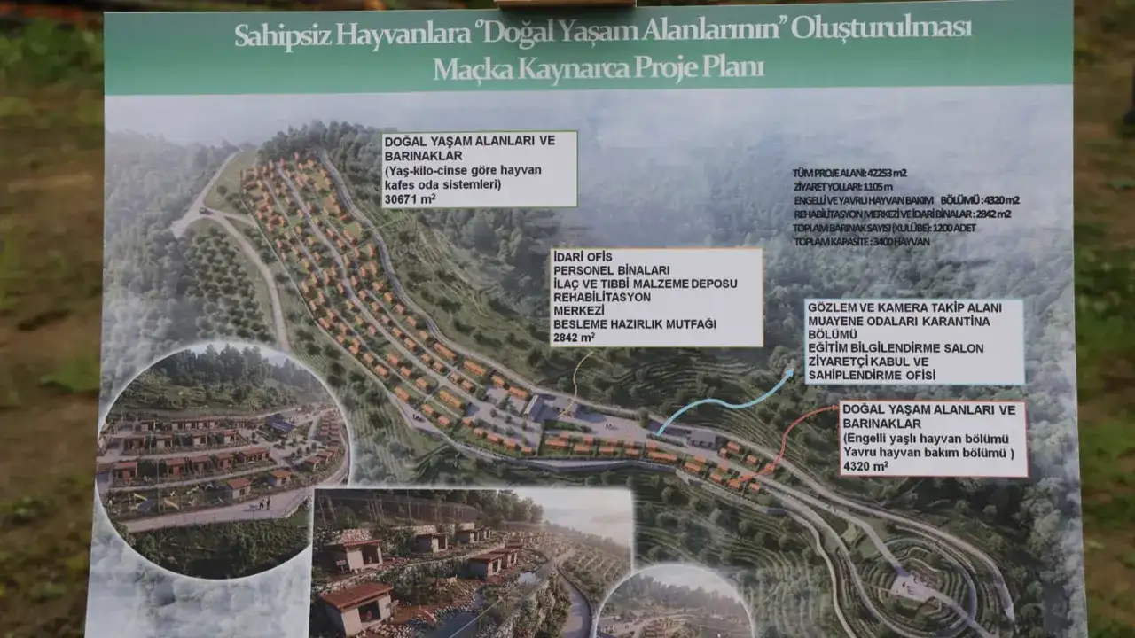 trabzonda-sahipsiz-hayvanlar-icin-dev-adim-5-bin-kapasiteli-yasam-alani-kuruluyor