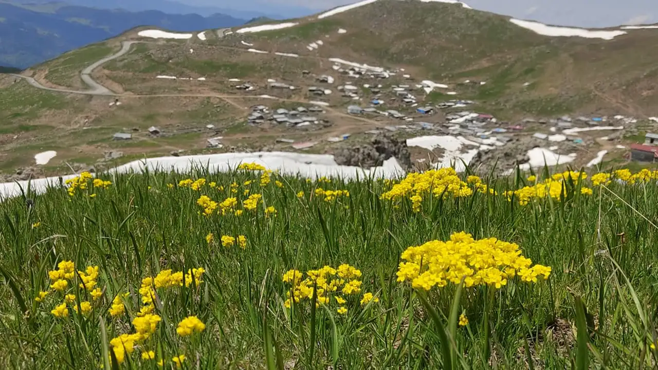 artvinde-haziranda-kar-mesaisi-yayla-yollari-aciliyor