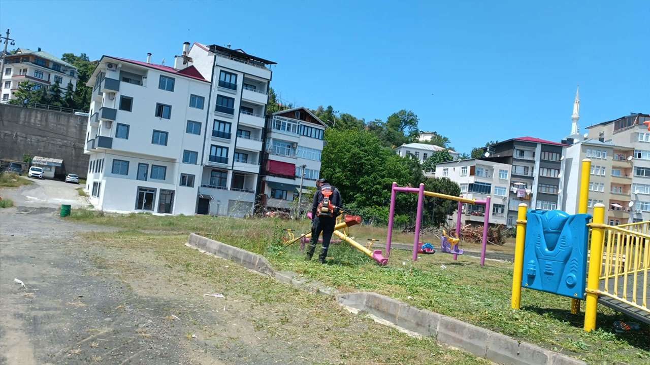 akcaabatta-yesil-alanlar-icin-bakim-calismalari-suruyor