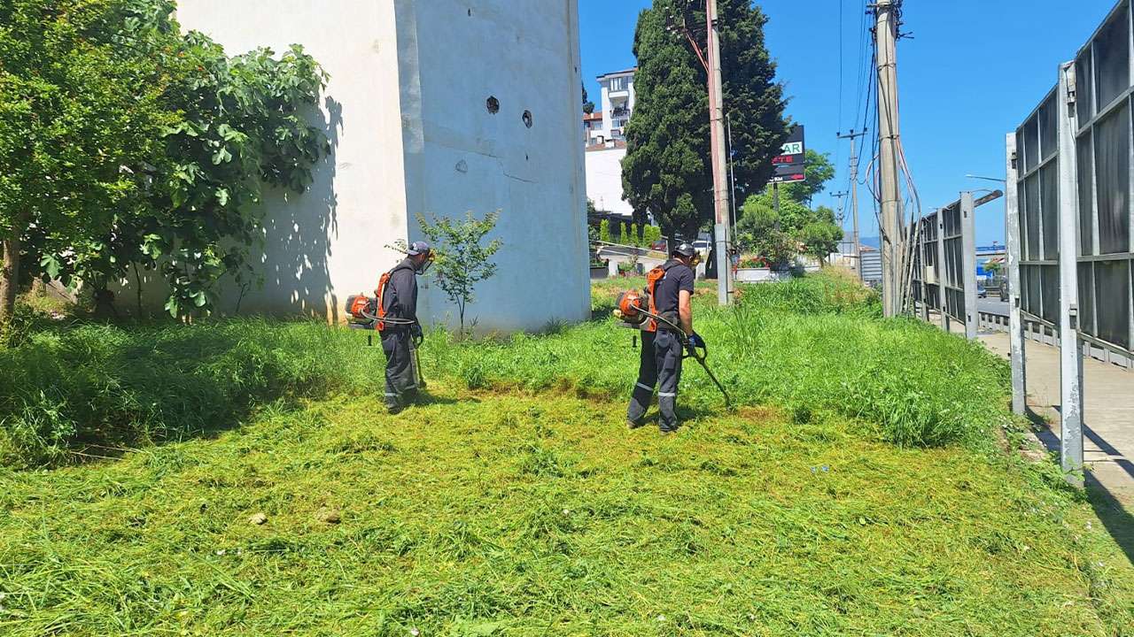 akcaabatta-yesil-alanlar-icin-bakim-calismalari-suruyor