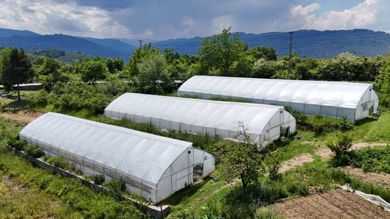 bankaciligi-birakip-seracilikla-yeni-bir-hayat-kurdu