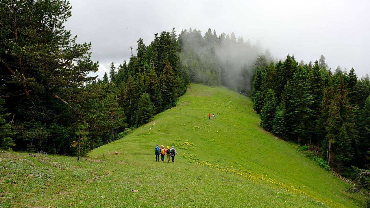 gumushane-yaylalari-rengarenk-ciceklerle-kaplandi