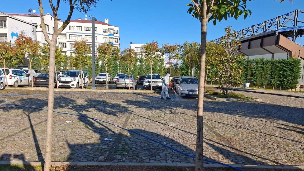 buyuksehirden-avni-aker-millet-bahcesi-aciklamasi-pire-iddialari-gercegi-yansitmiyor