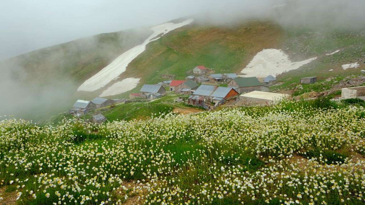 gumushanede-kartpostallik-manzara-yilanli-yaylasi-papatyalarla-beyaza-burundu