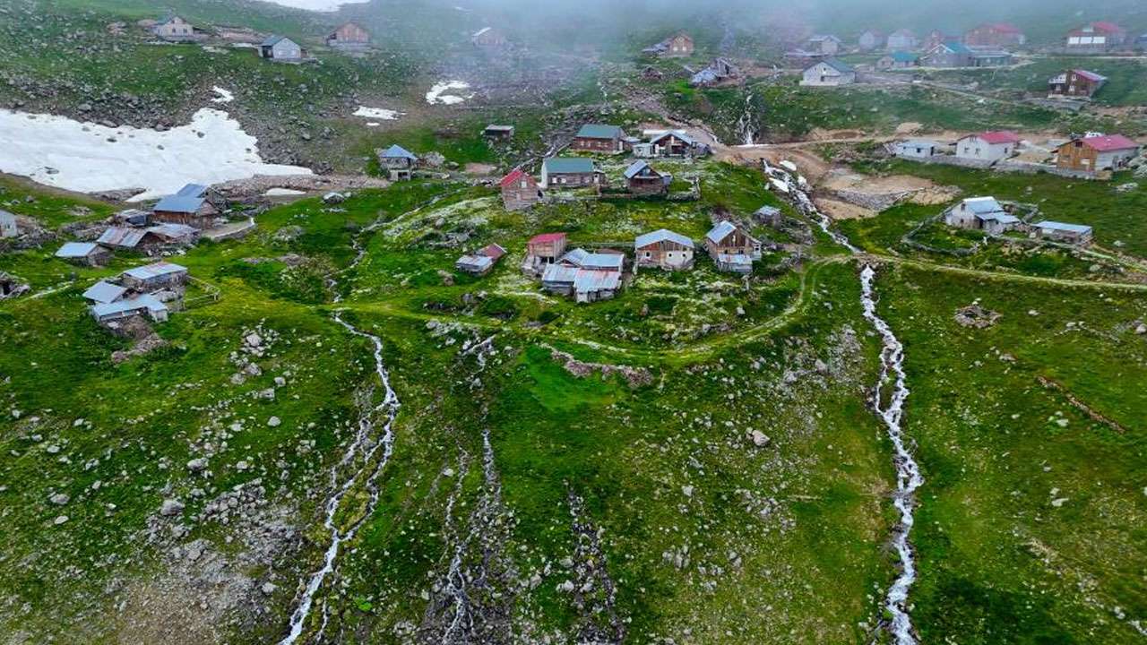 gumushanede-kartpostallik-manzara-yilanli-yaylasi-papatyalarla-beyaza-burundu