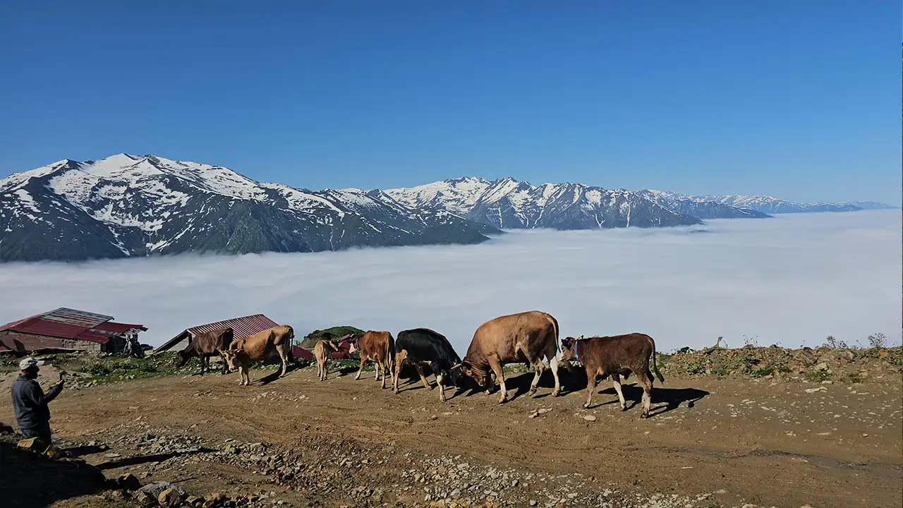 rize-yaylalarinda-olusan-sis-denizi-hayran-birakti