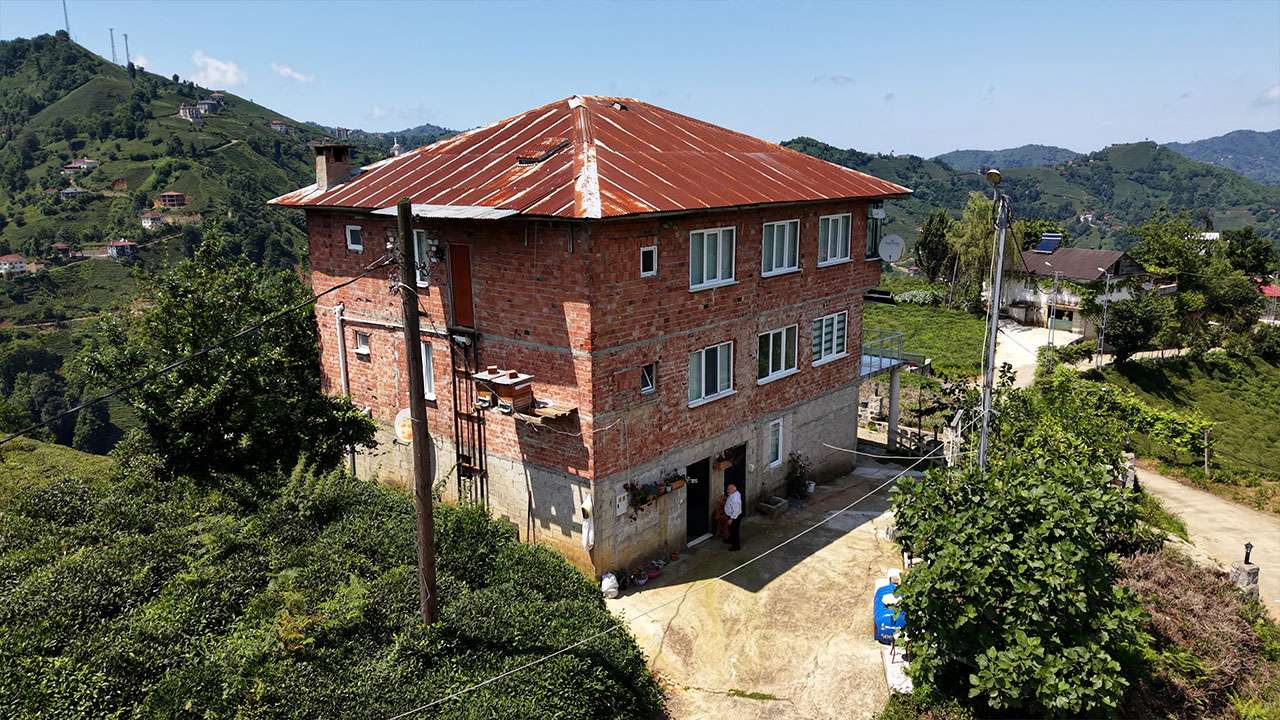 karadeniz-zekasi-ayiya-karsi-kovanlara-asansorlu-onlem