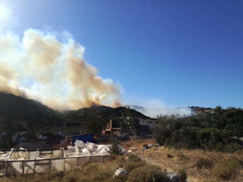 İzmir'deki yangın yazlık evlere doğru ilerliyor