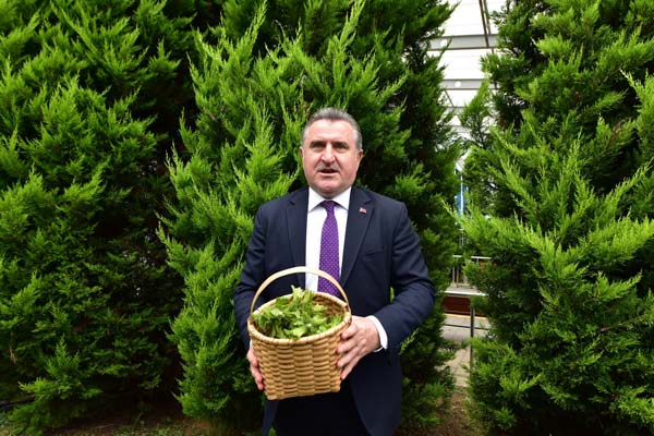 Ünlülerden Trabzon’daki fındık hasadına davet
