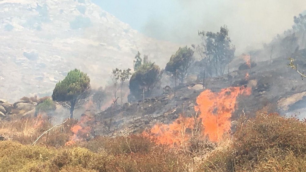 Marmara Adası'nda orman yangını
