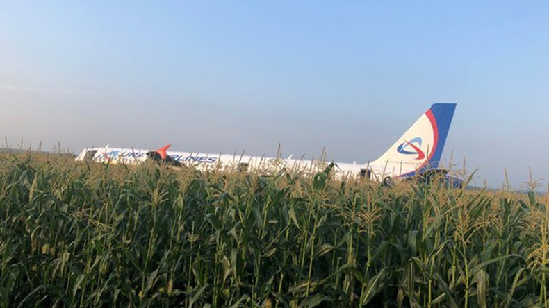 Yolcu uçağı mısır tarlasına acil iniş yaptı