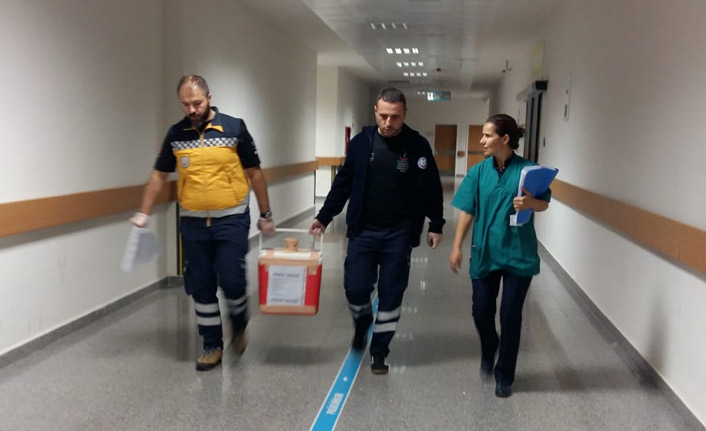 Trabzonlu genç kurtarılamadı, organları umut oldu