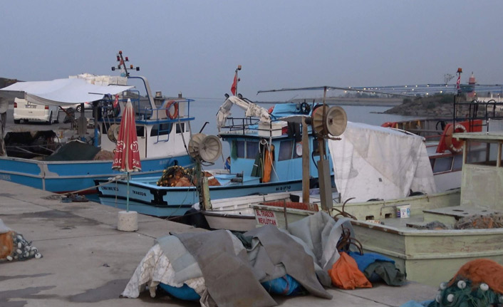 Trabzon'da balıkçıların alternatifi deniz salyangozu
