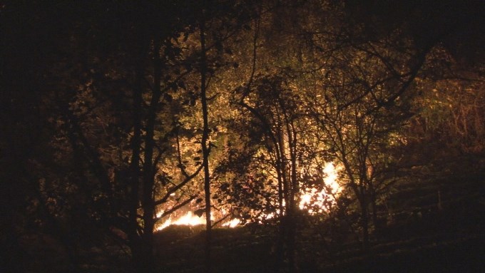 Rize’de orman yangını