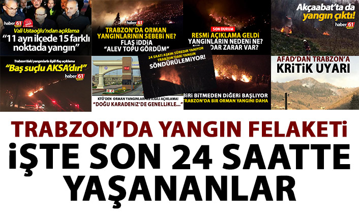 Trabzon'daki yangınlarla ilgili flaş gelişme