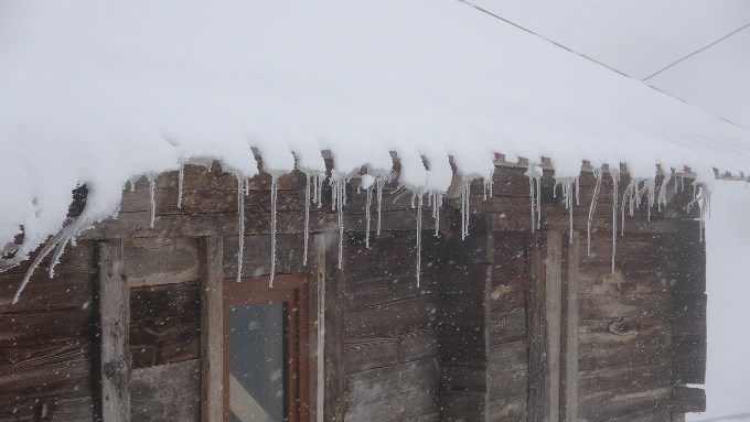 Doğu Karadeniz'deki geçitte ulaşıma kar, tipi ve sis engeli