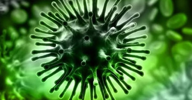 Corona Virüsü nedir? Corona virüsü nasıl bulaşır ve belirtileri nelerdir?